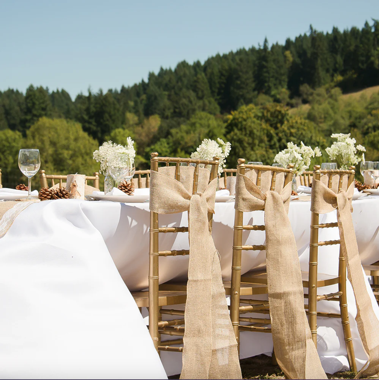 10 White or Black Table Linens